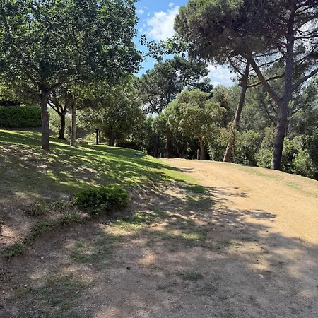 With Garden And Terrace Apartment