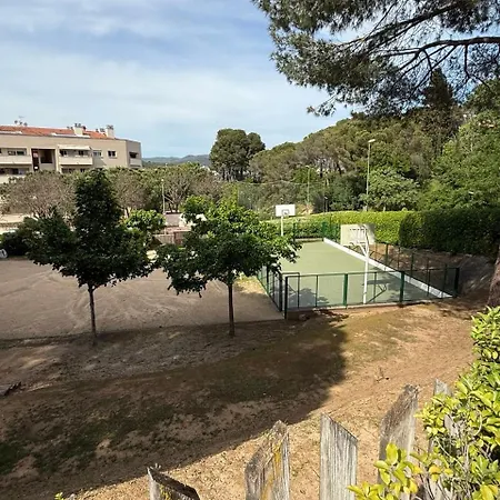 With Garden And Terrace Apartment